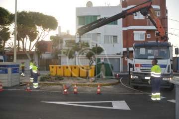 Parques y Jardines elimina en Salinetas el árbol que ensuciaba los recipientes de basura (Foto TA)